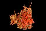 Bright Orange Crocoite Crystal Cluster - Tasmania #129100-1